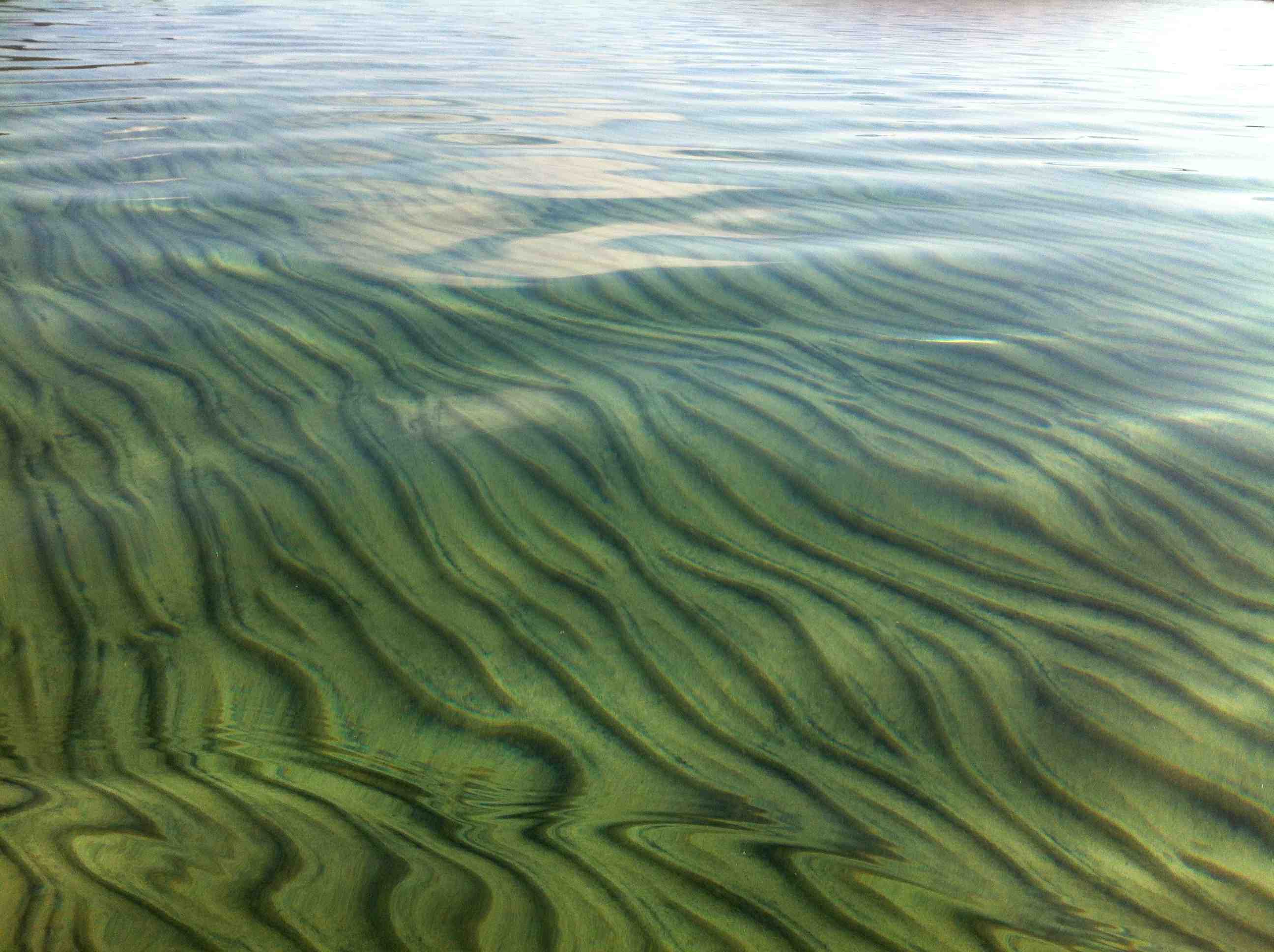 Tahoe bottom